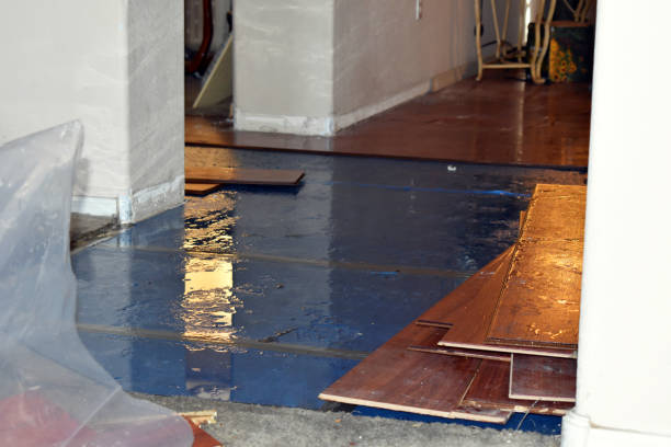 Professional Basement Flood Cleanup technician working in Orfordville, WI
